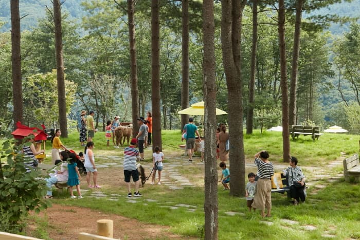 알파카월드_(07)