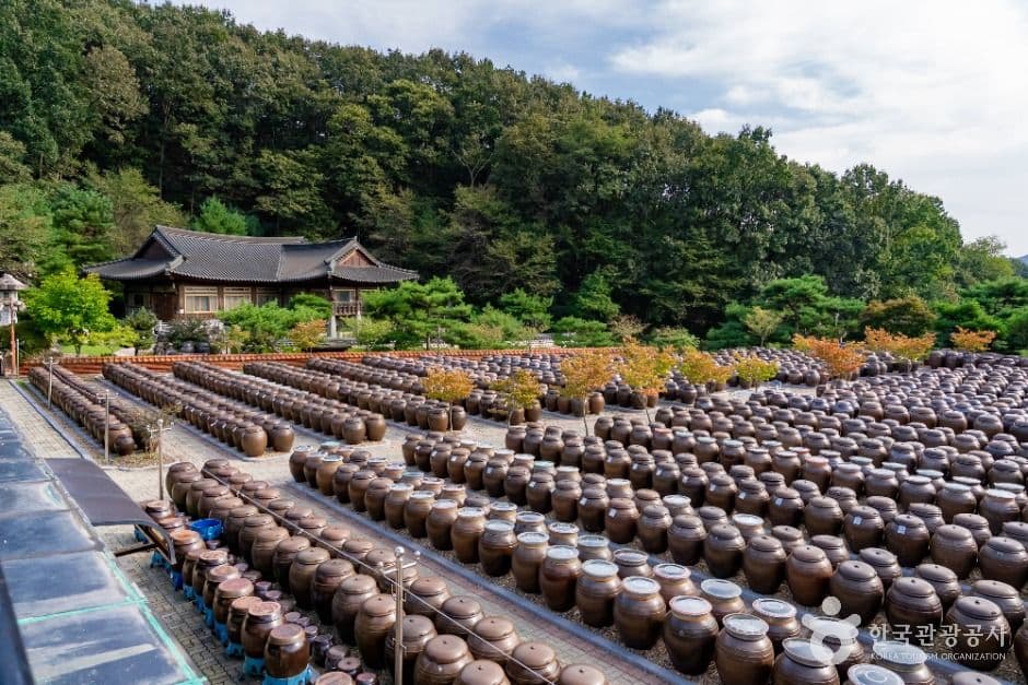 세종_세종전통장류박물관 (2)