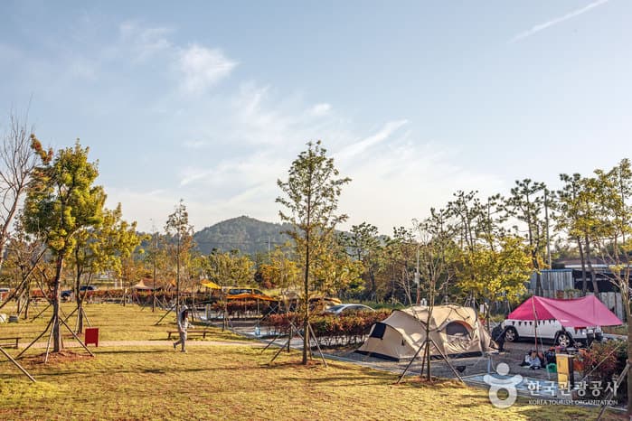 청암산오토캠핑장