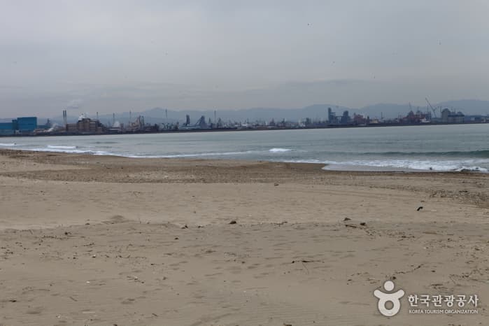 경북_포항_도구해수욕장03