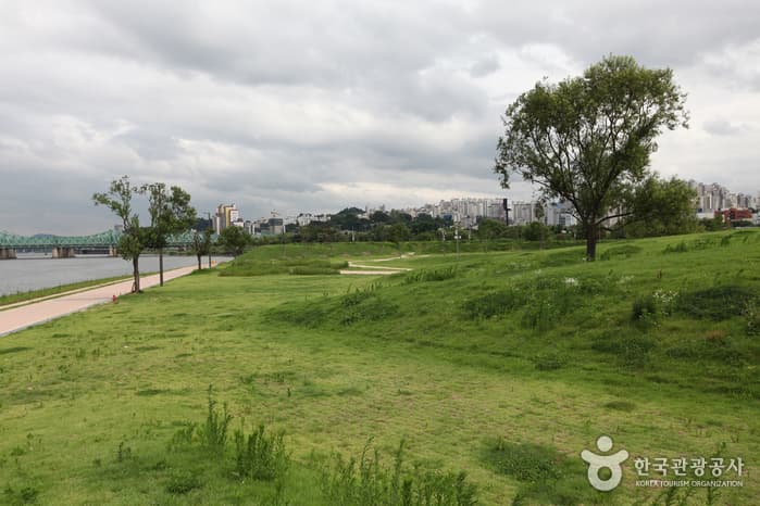 한강시민공원(여의지구)