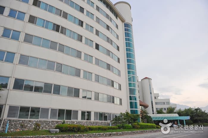 설악파인리조트