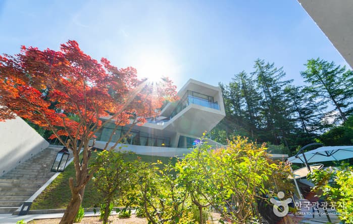 강원_유리트리트_외부전경2