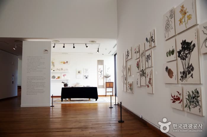 대전_이응노미술관04