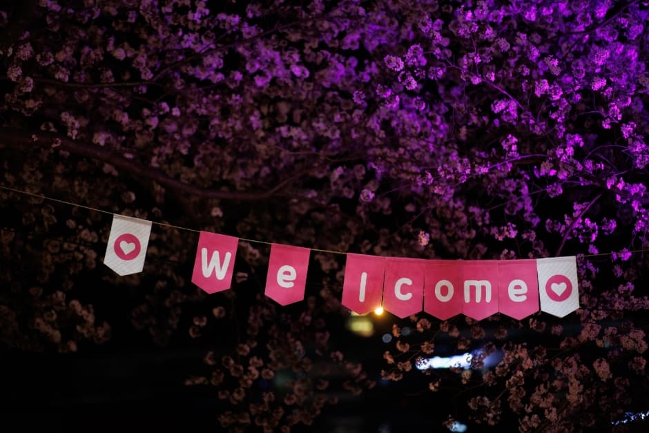 2024 고창 벚꽃축제 2