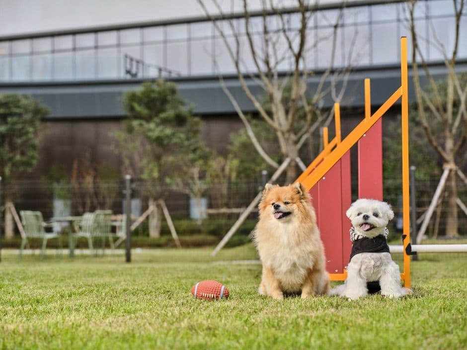 김해_롯데호텔앤리조트 김해 (17)