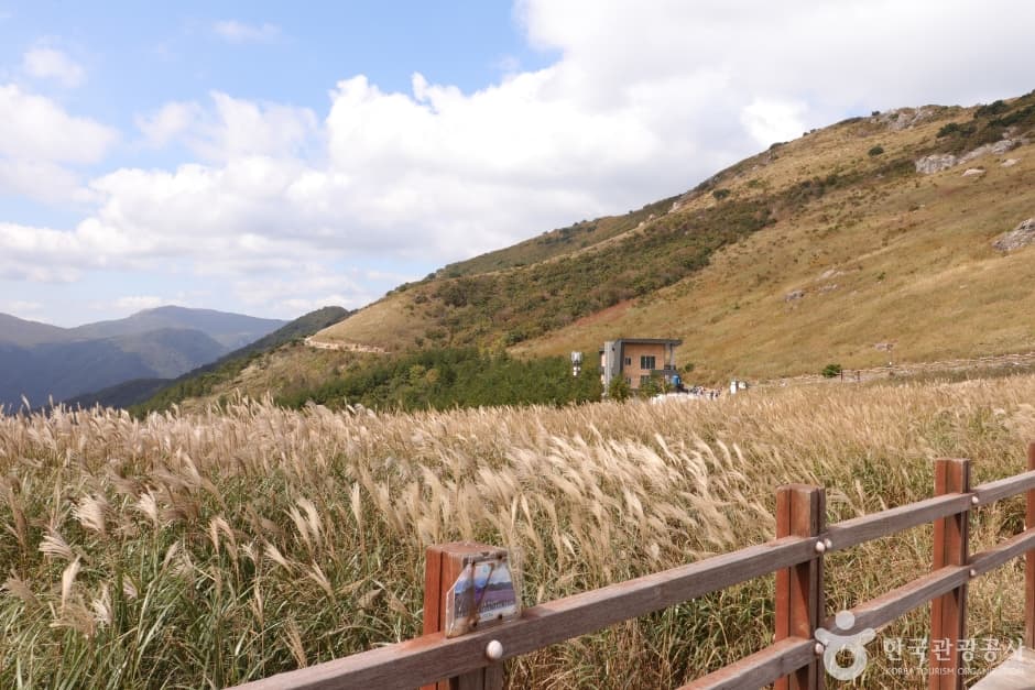 Twelve Scenic Places of Ulsan City (울산 12경)