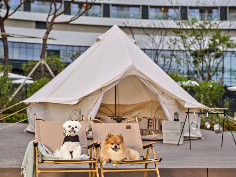 김해_롯데호텔앤리조트 김해 (18)