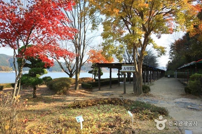 礼唐水库(礼唐观光地)(예당저수지(예당관광지) )