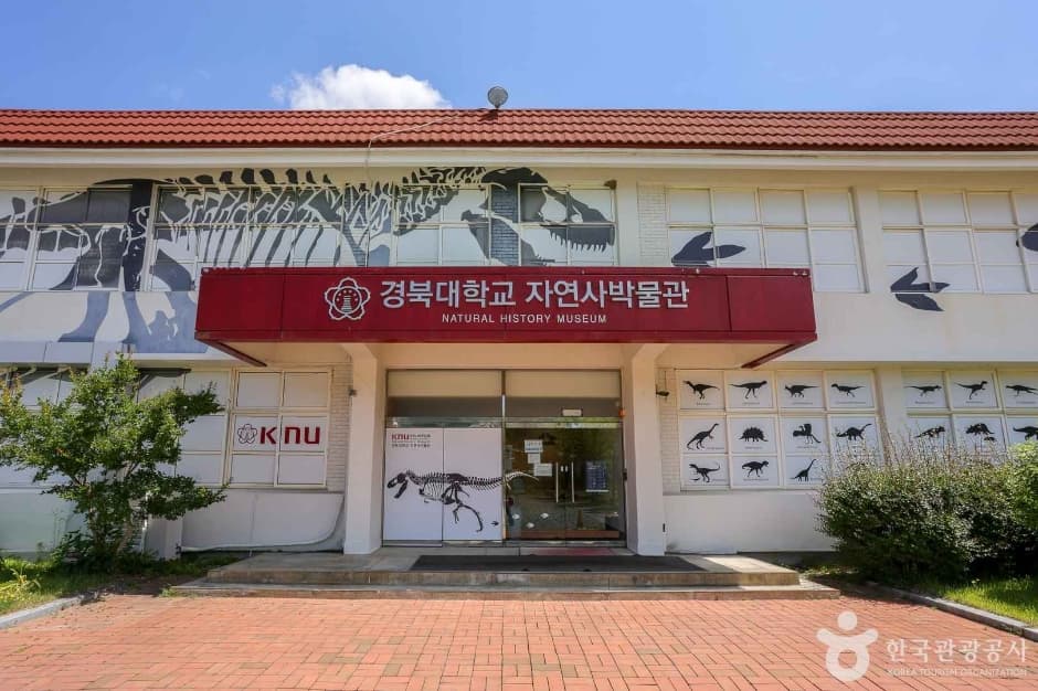 경북대학교자연사박물관