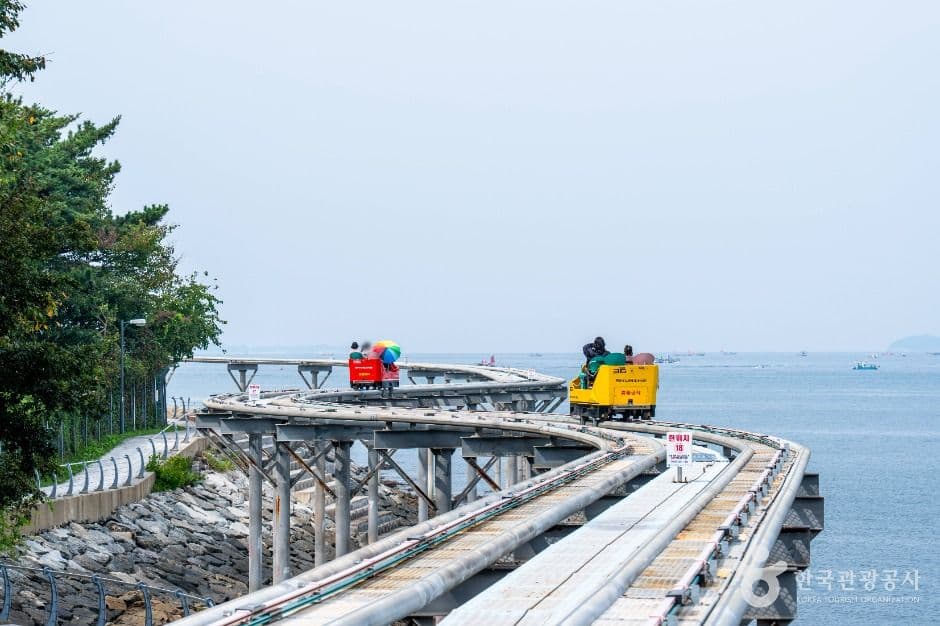 보령_대천해수욕장스카이바이크 (5)