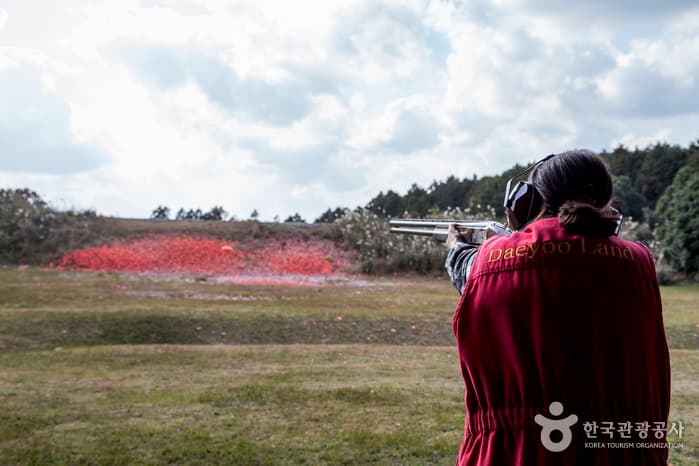 Daeyoo Land (대유랜드)