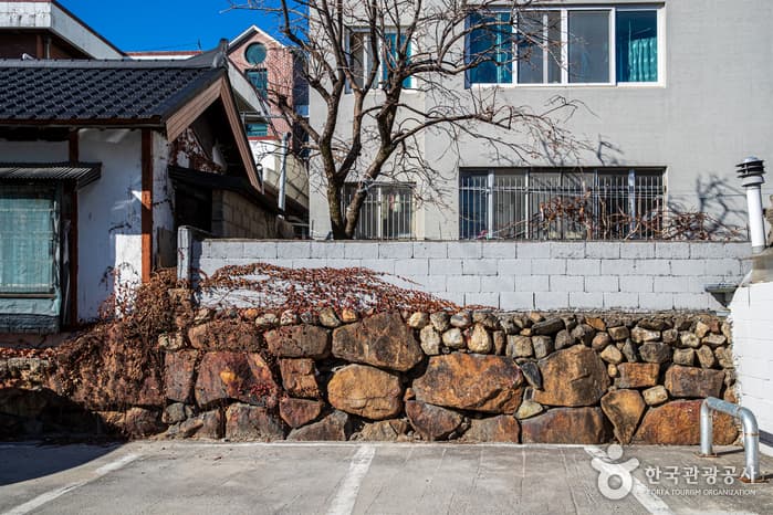 강릉 명주동 거리