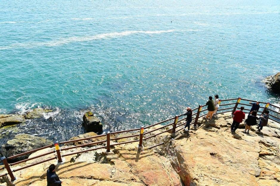 여수_오동도 (2)