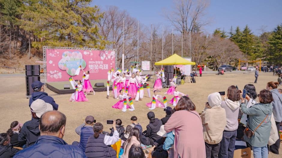 영랑호 벚꽃축제