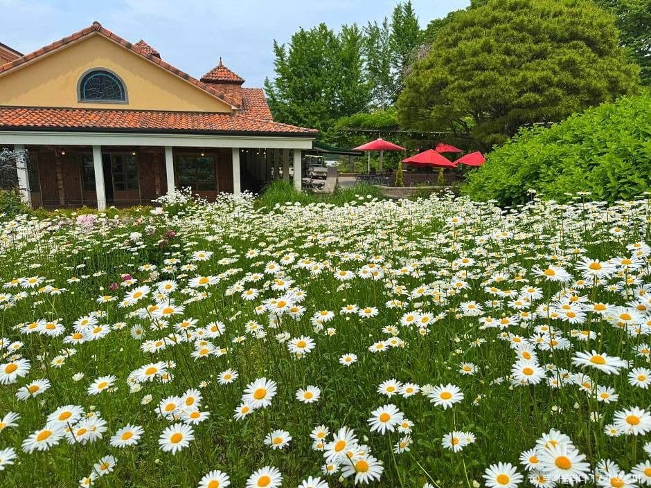 세종 아이와 가볼만한 곳_베어트리 파크_1-8