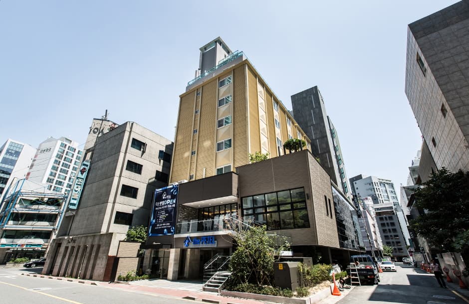 the PETEL PREMIUM SUITE(더펫텔프리미엄스위트)