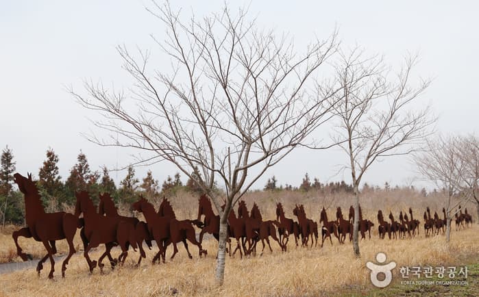 Parque Hípico de Jeju (조랑말체험공원)