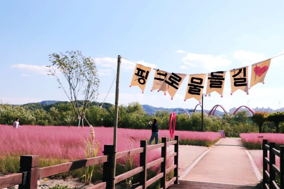 그라스원_데크길2