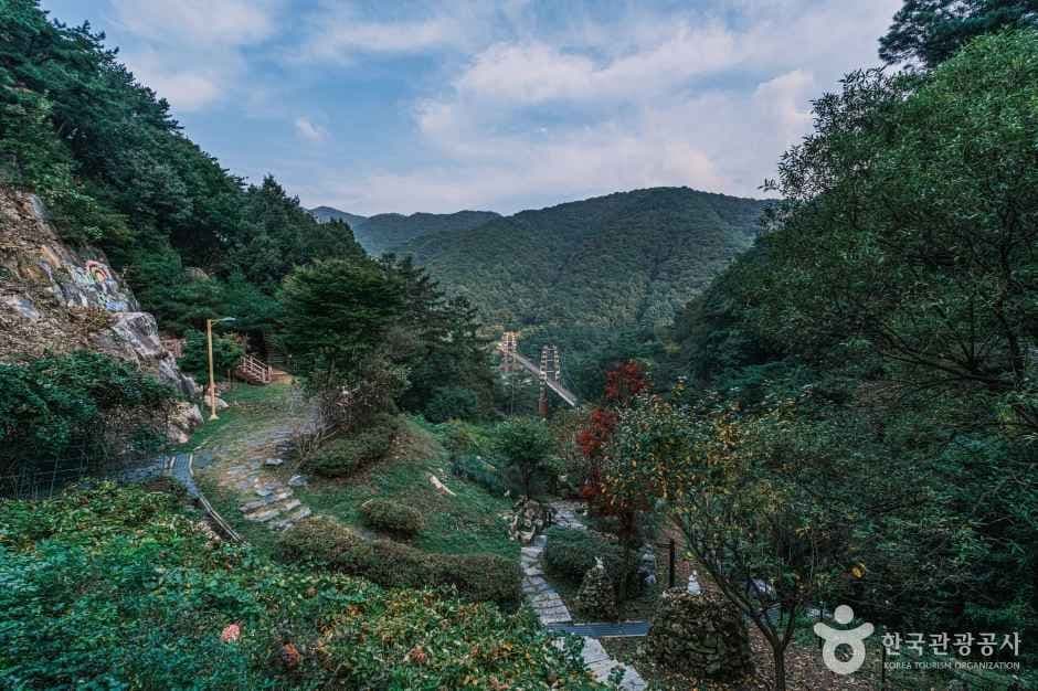 좌구산 자연휴양림