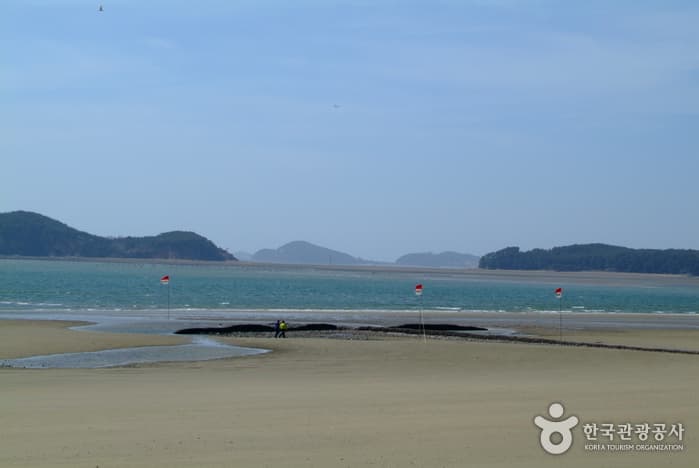 백사장해수욕장08