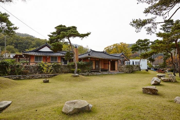 Golden Grass / 옛날에금잔디