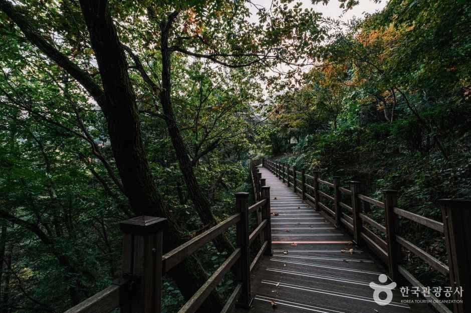 좌구산 자연휴양림