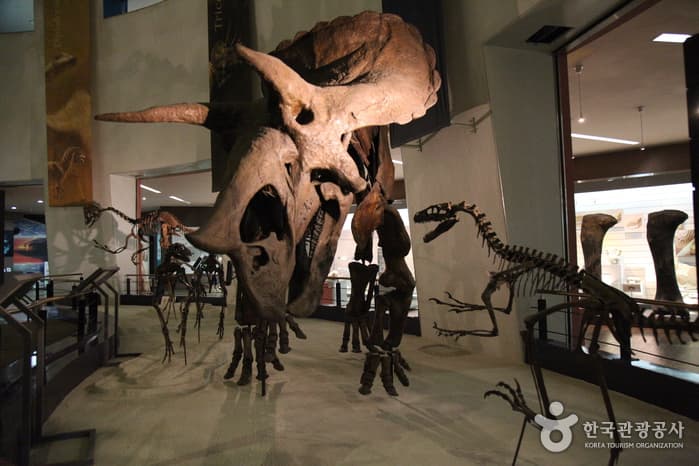 Музей естествознания Мокпо (목포자연사박물관)