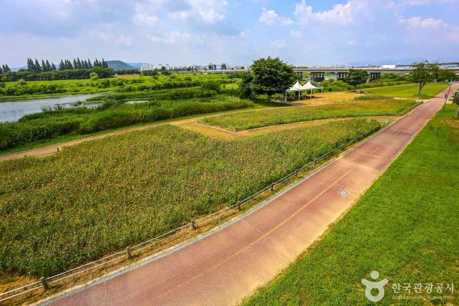 광주_영산강 자전거길 (4)