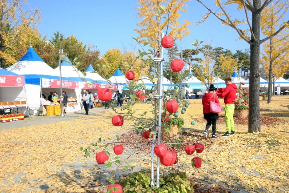 홍천사과축제 (5)