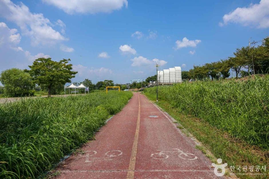 광주_영산강 자전거길 (5)