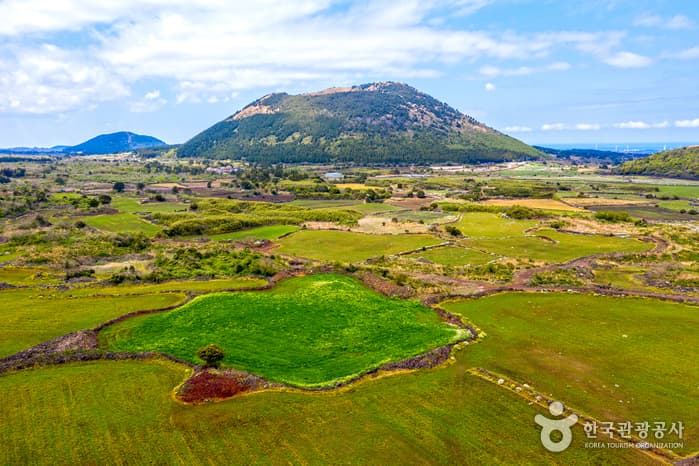Berg Darangswioreum (Gipfel Wollangbong) (다랑쉬오름(월랑봉))