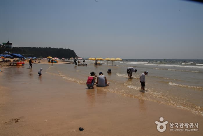 대천해수욕장
