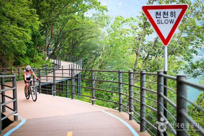 춘천 의암호 스카이워크