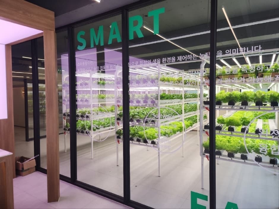 풍천만민물장어(2)