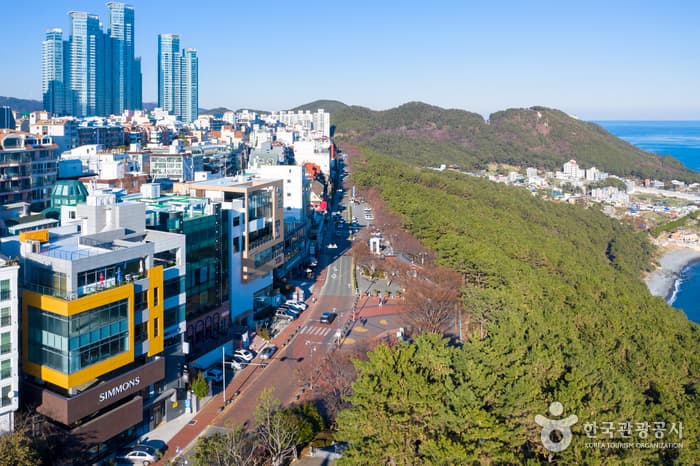 해운대 달맞이길