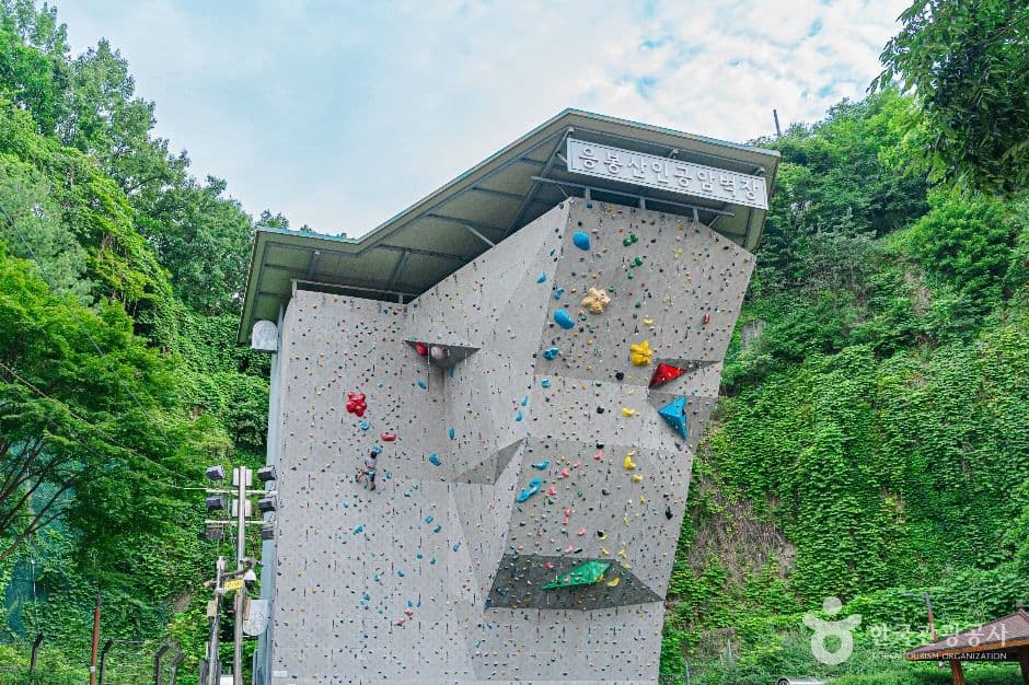 응봉산 암벽등반공원