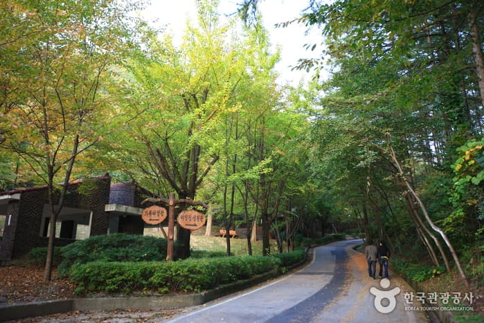 천안시 태조산청소년수련관