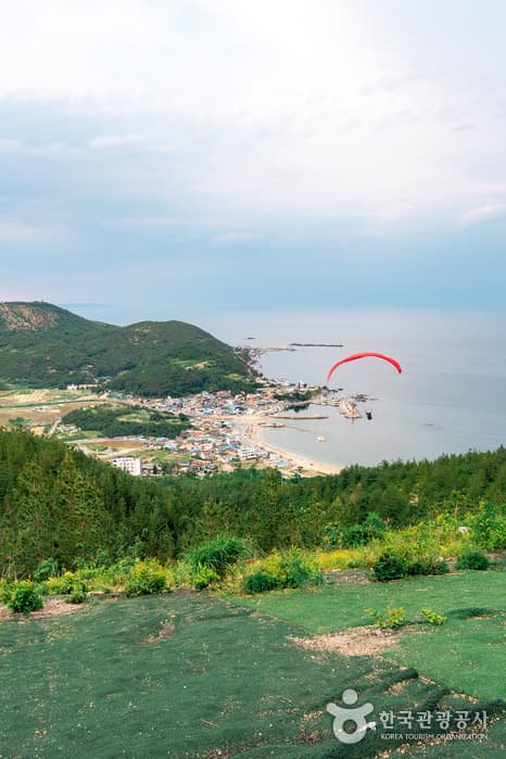 It’s 체리 타임! 6월 한정판 체험 새콤달콤한 체리 따러 포항으로_곤륜산 활공장_11