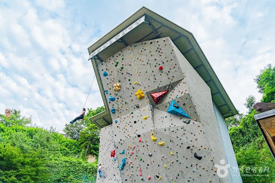 서울_응봉산 암벽등반공원 (5)