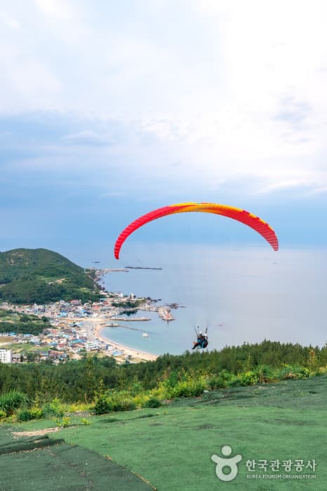 It’s 체리 타임! 6월 한정판 체험 새콤달콤한 체리 따러 포항으로_곤륜산 활공장_13