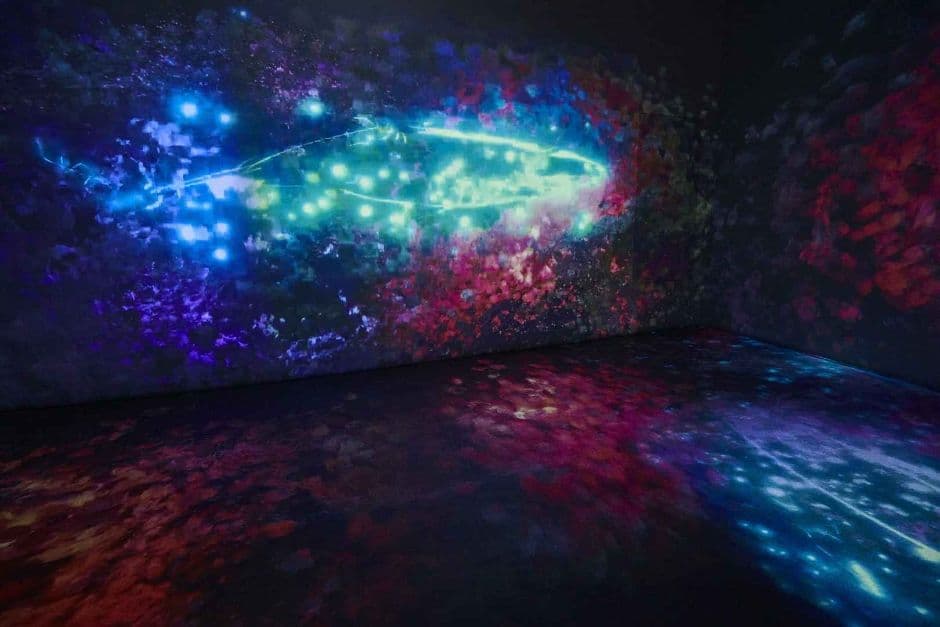 유성구_대전 엑스포 아쿠아리움 (9)