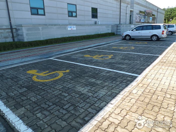 양양 선사유적박물관 (23)