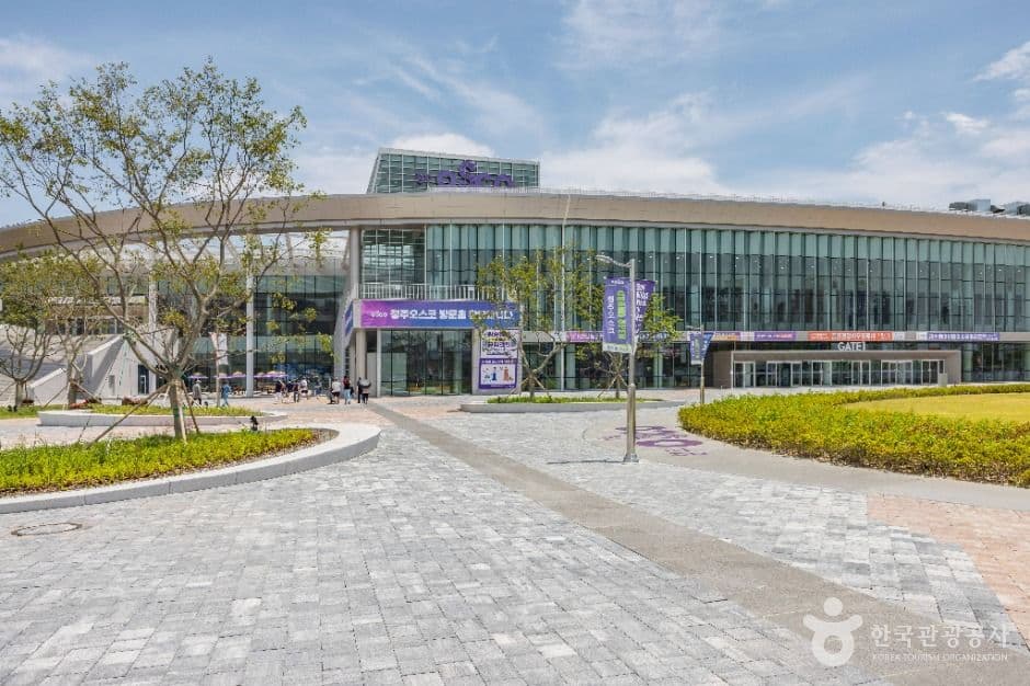 청주_청주 오스코 (12)