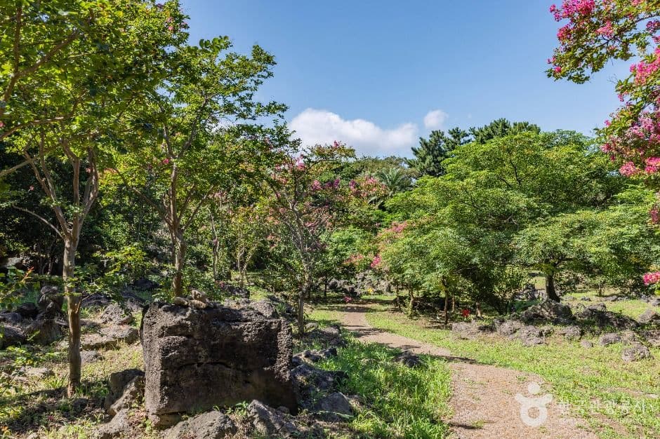 제주_신산공원 (2)