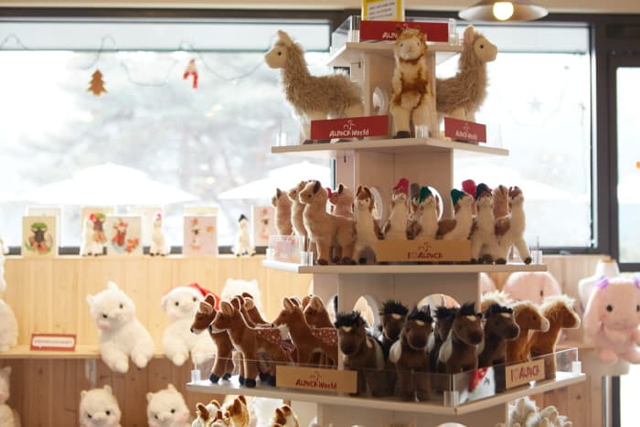 알파카월드_(28)