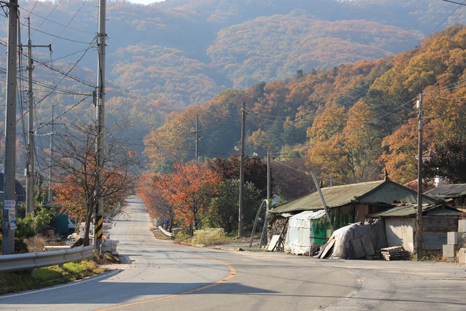 장흥리 산촌생태마을