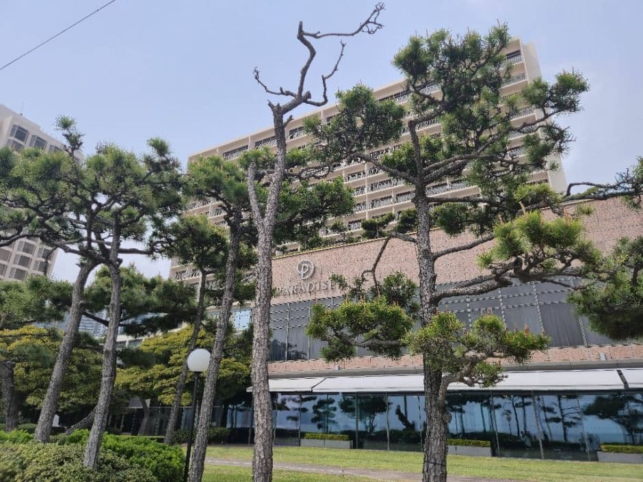 파라다이스 카지노 부산 (1)