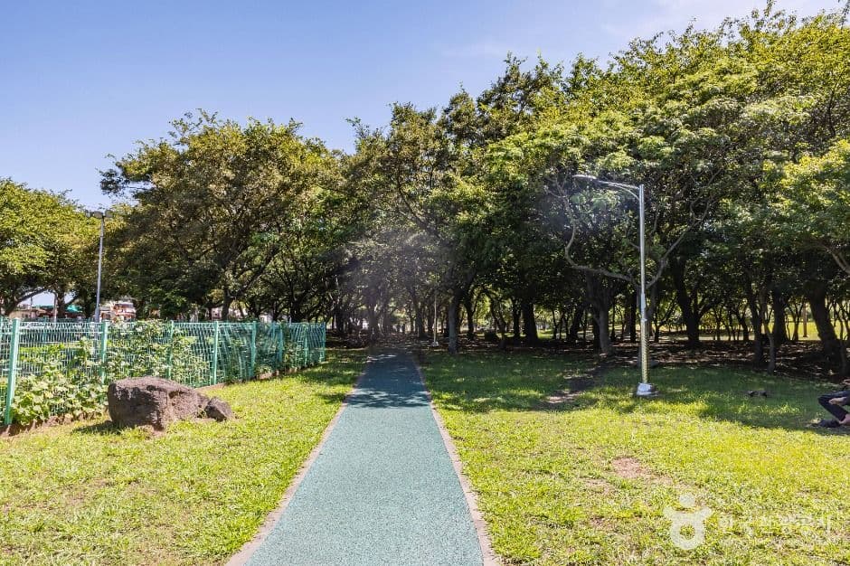 제주_신산공원 (4)