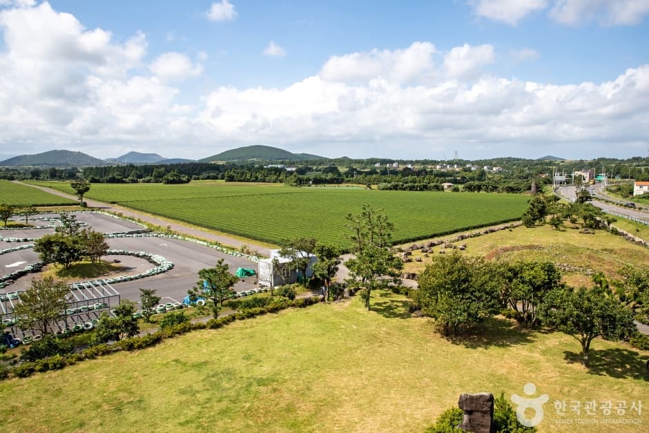 Aldea del Té Verde Seongeup (성읍녹차마을)